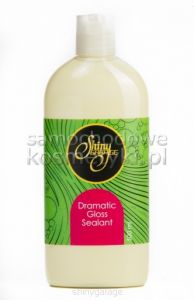 Shiny Garage Dramatic Gloss Sealant 500ml